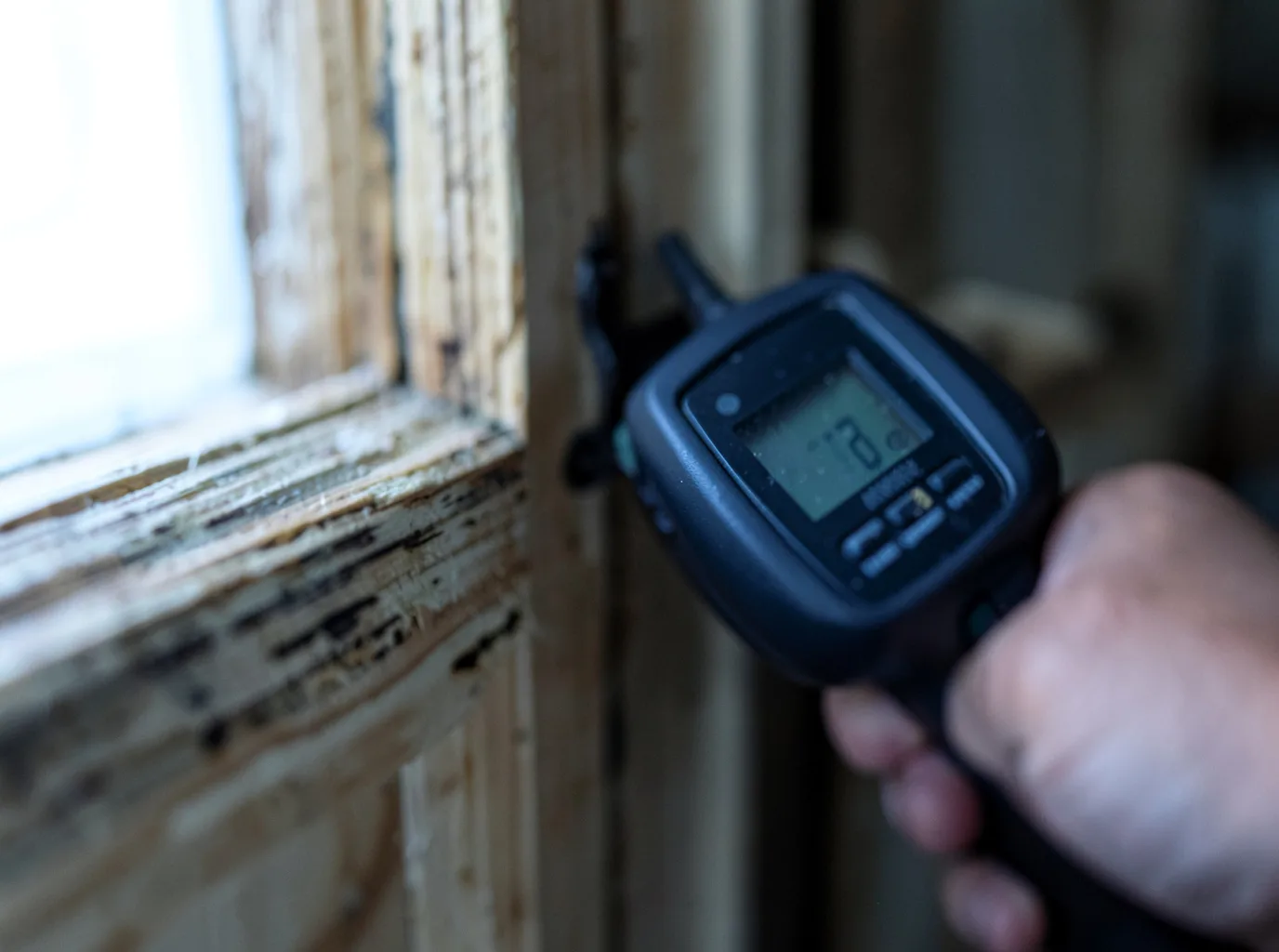 Moisture Inspection And Documentation in Luther, IA